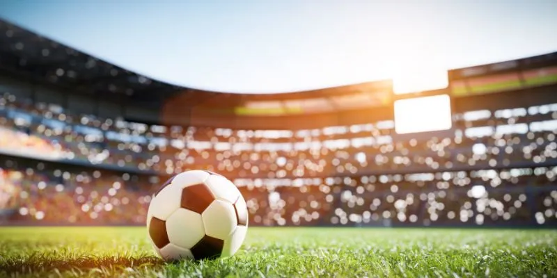 Cơ hội tiềm năng đang mở rộng.